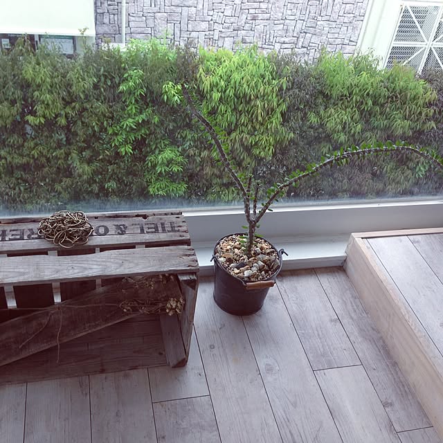 kensukeさんの実例写真