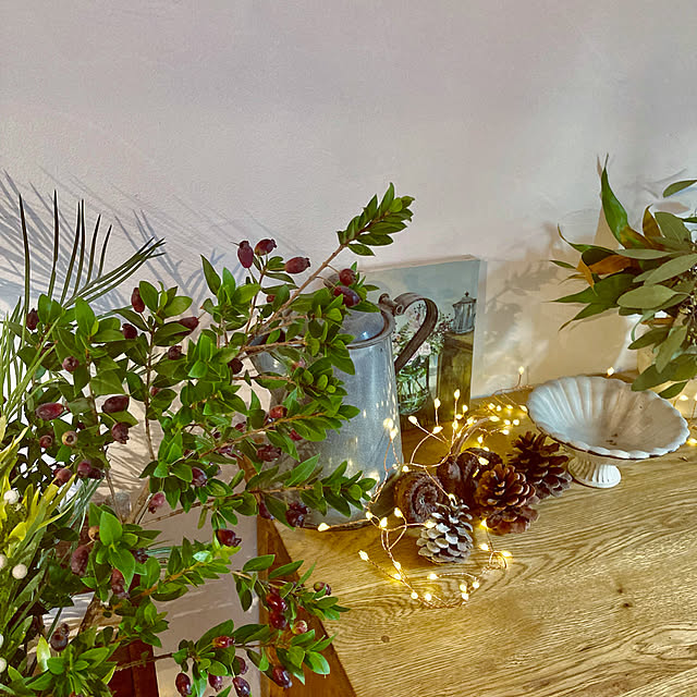 green.green.greenさんの実例写真