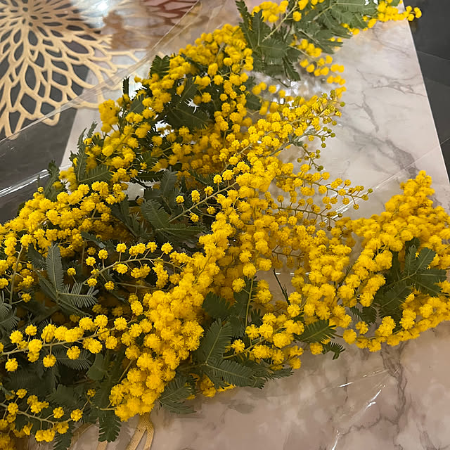 rikuerinka86さんの部屋