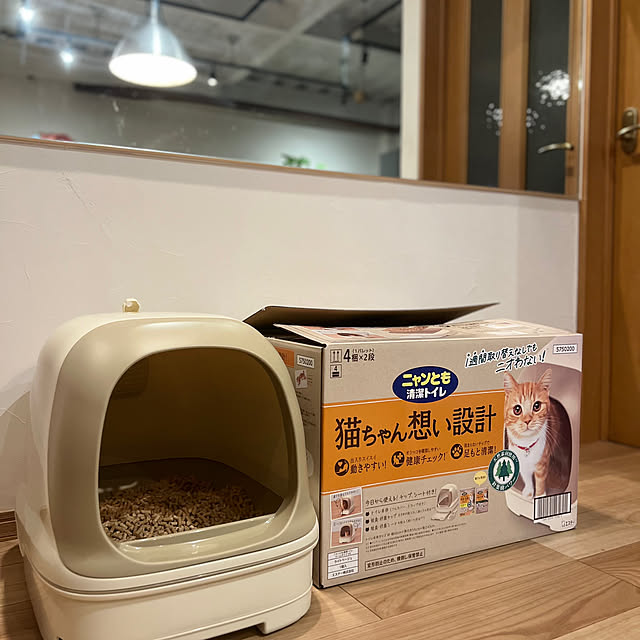 にゃんず/ねこと暮らす/観葉植物/ナチュラル/インテリア...などのインテリア実例 - 2024-11-13 21:30:19