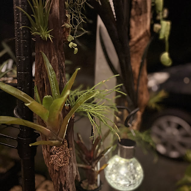 GiriGiriさんの部屋