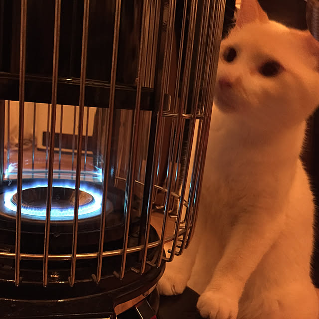 sakurasakuさんの実例写真