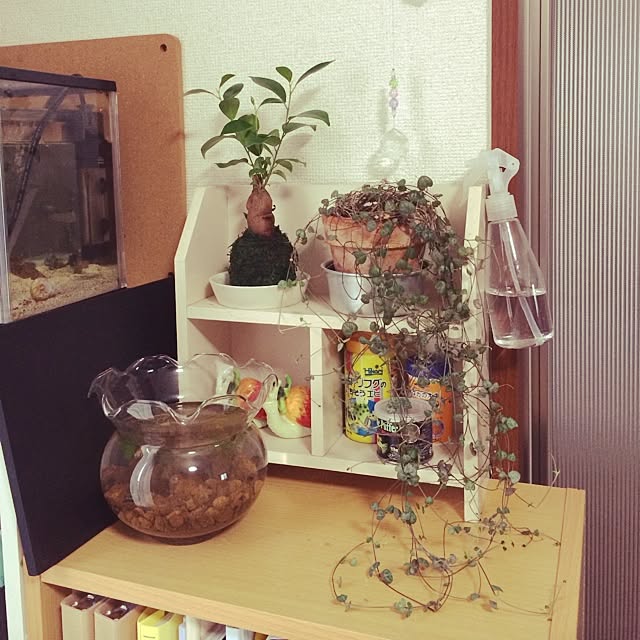 Mi-chonさんの実例写真
