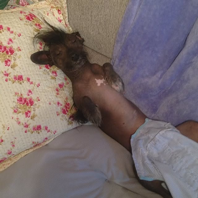 Kumikoさんの実例写真