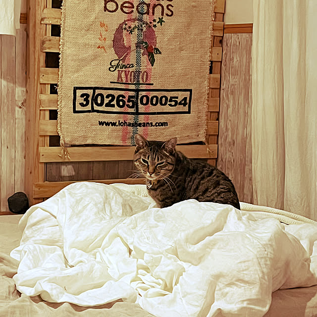 Mさんの部屋