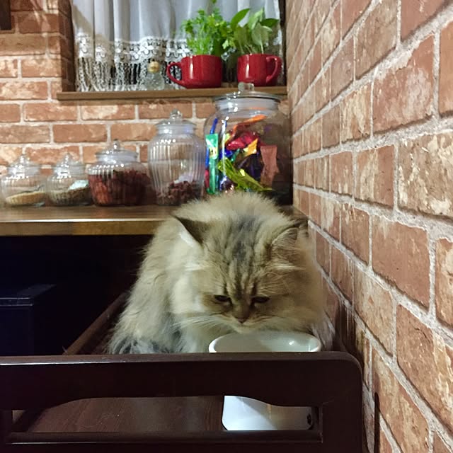 butachanさんの実例写真