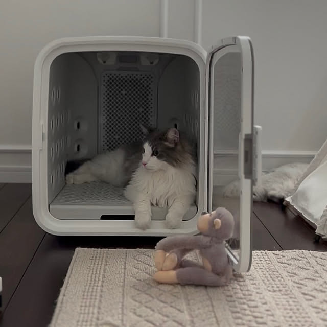 Akubiさんの部屋