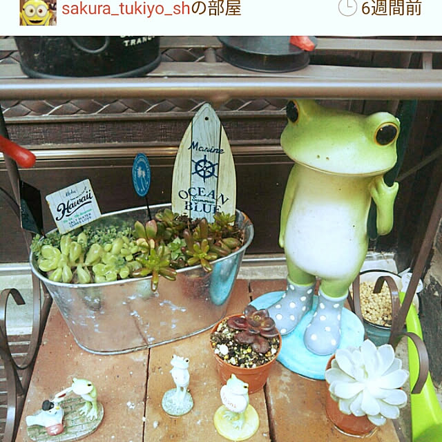 sakura_tukiyo_shさんの実例写真