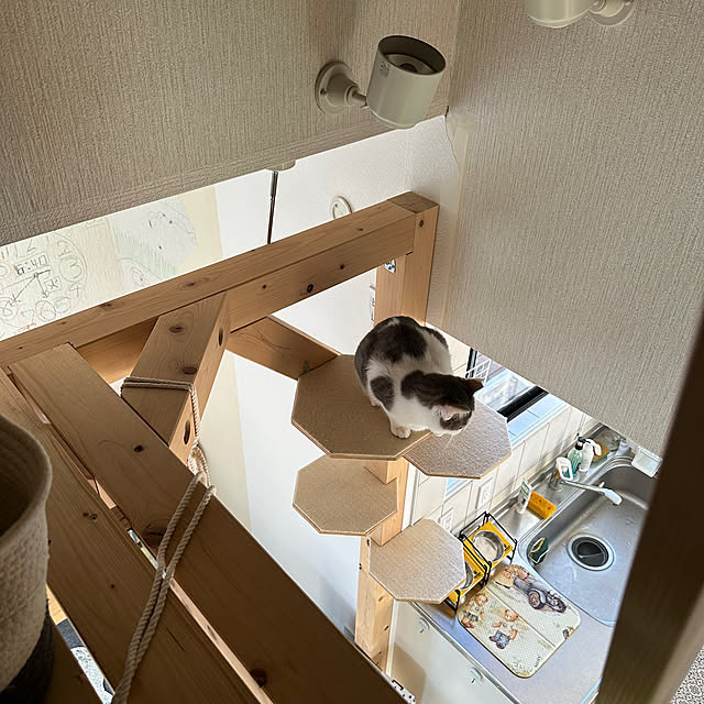 yurari.bonnさんの実例写真