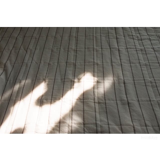 Chihiroさんの実例写真