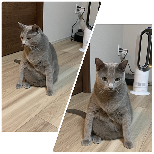 sayuuuさんの実例写真