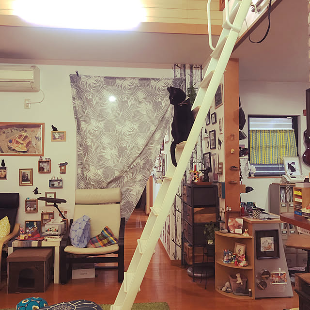 jijiさんの実例写真