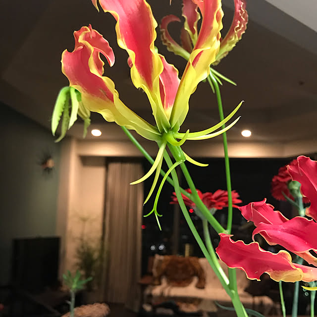 azさんの実例写真