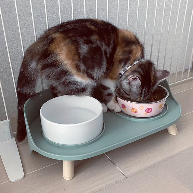 mouseさんの実例写真