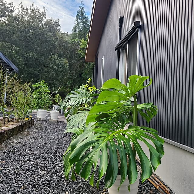 Rubiconさんの部屋