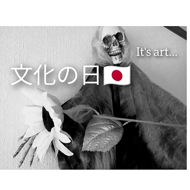 moruさんの部屋