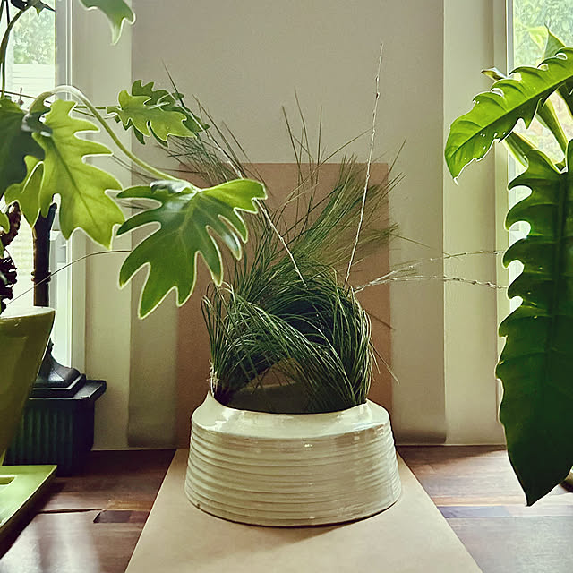 DAYONEさんの実例写真