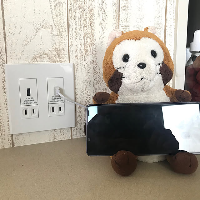 lemyさんの実例写真