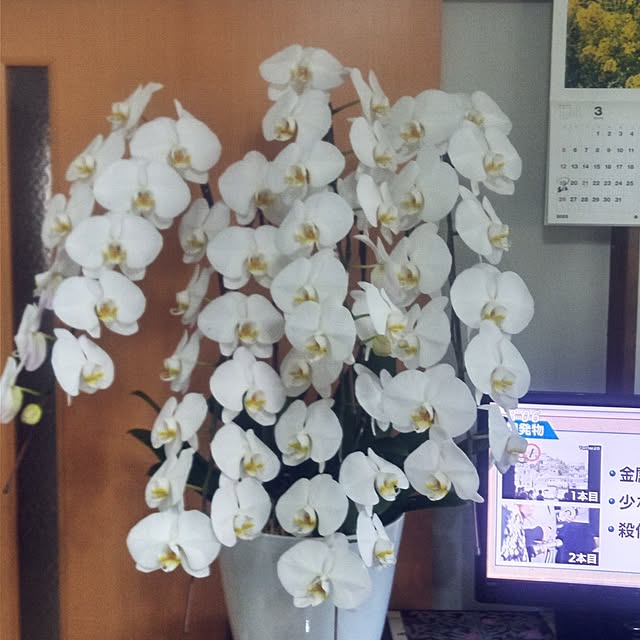 Yoshietanka3492さんの実例写真