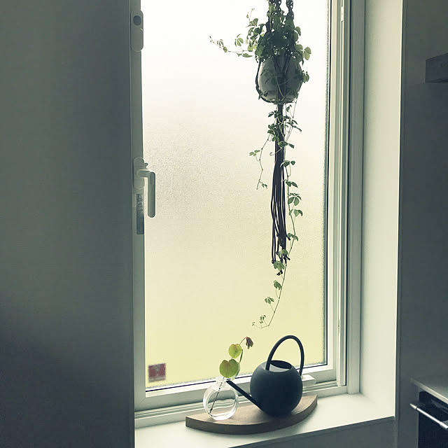 観葉植物/一条工務店/キッチンのインテリア実例 - 2021-06-02 12:26:16
