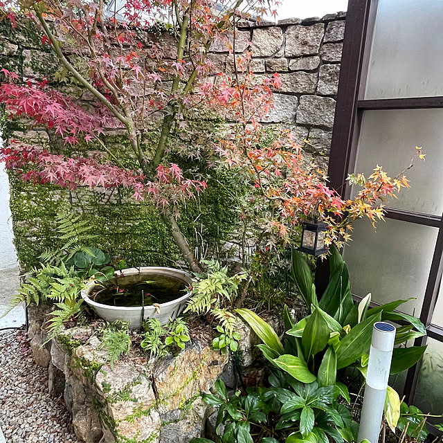 maimai0110さんの実例写真