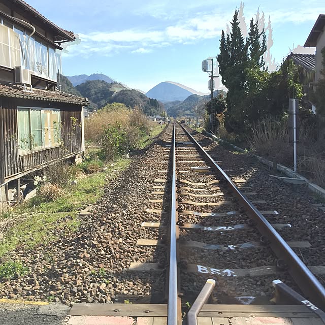実例写真