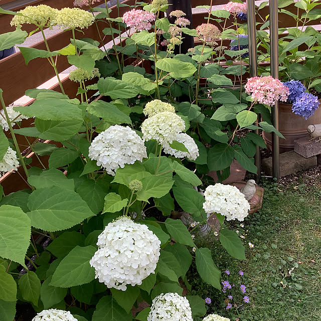 haruminさんの部屋