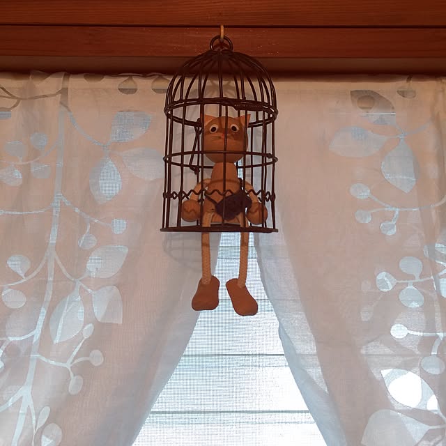chacoさんの実例写真