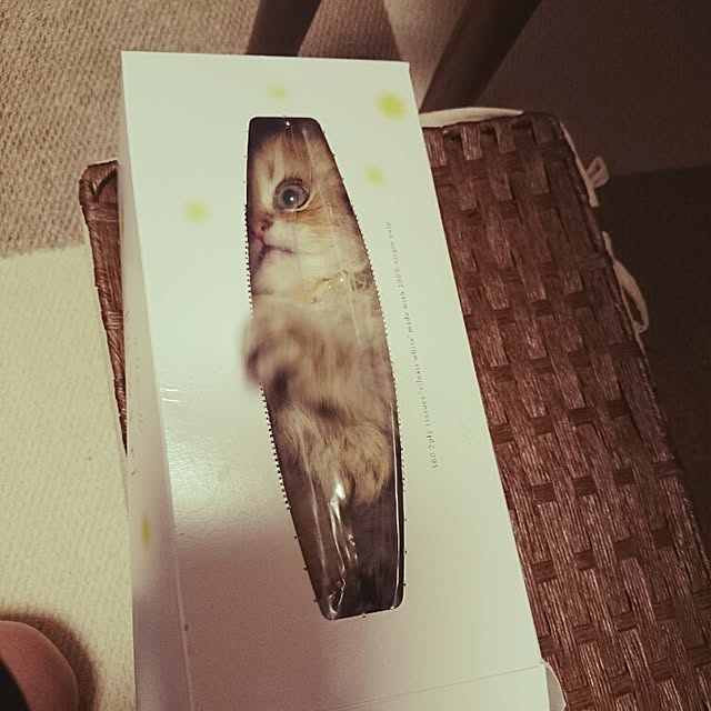 hanaさんの実例写真