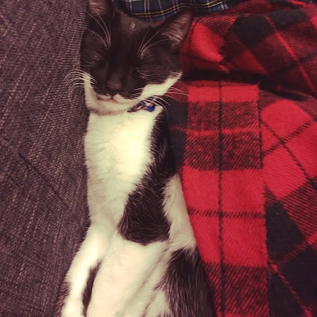 taeさんの実例写真