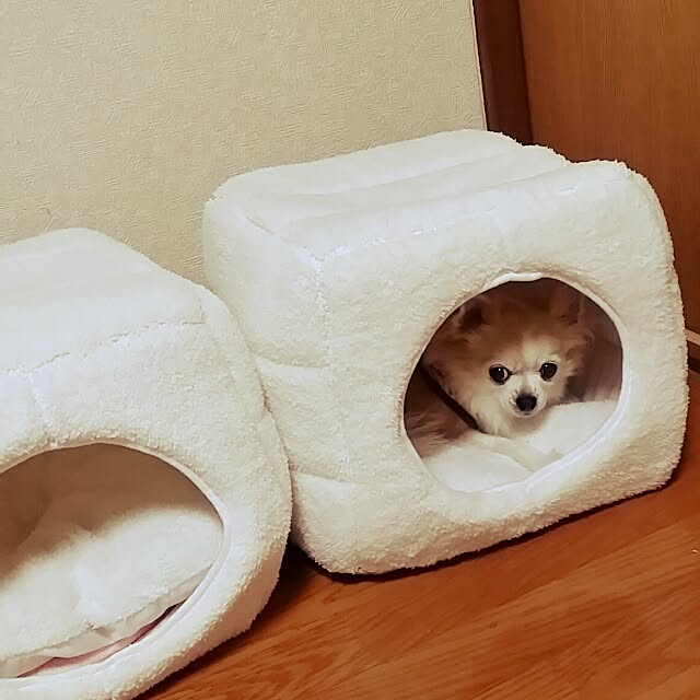 nanasuke0106さんの実例写真