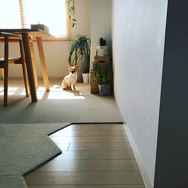haruhinaさんの実例写真