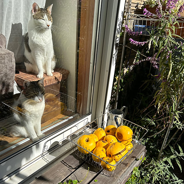 Lufuさんの部屋