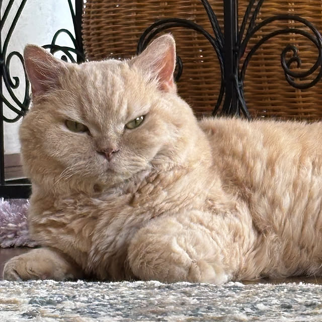 naokoさんの部屋