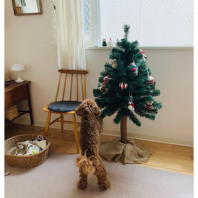 mogさんの実例写真