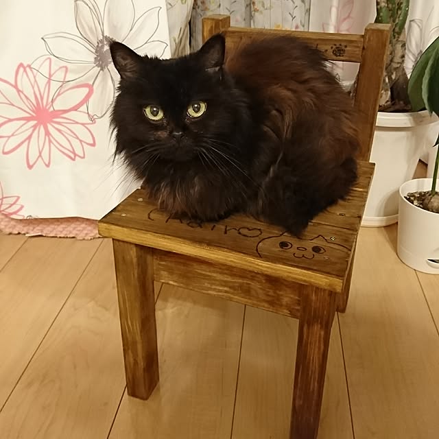melさんの実例写真