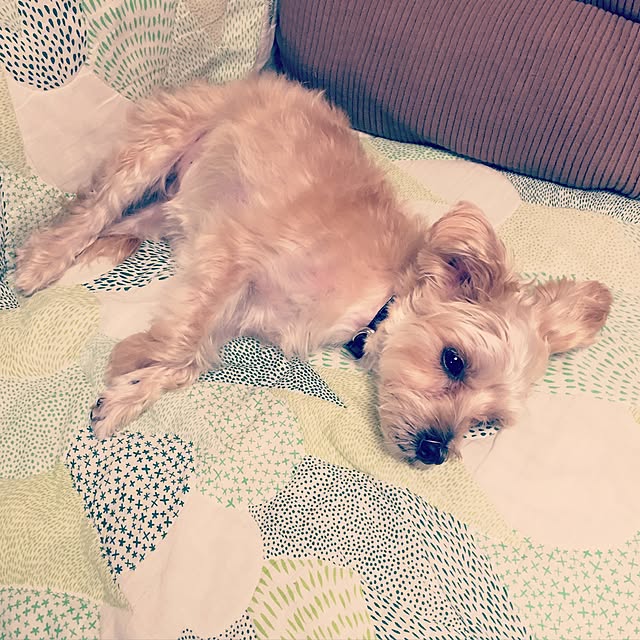 Mocoさんの実例写真