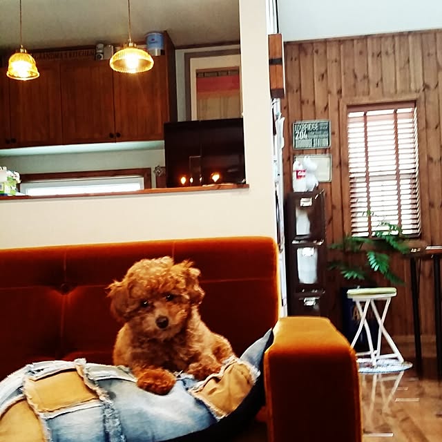 mikiさんの実例写真