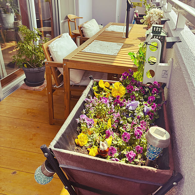 akimamさんの実例写真