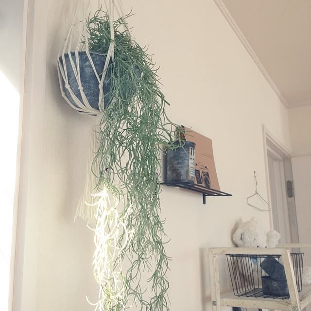 yokkoさんの実例写真