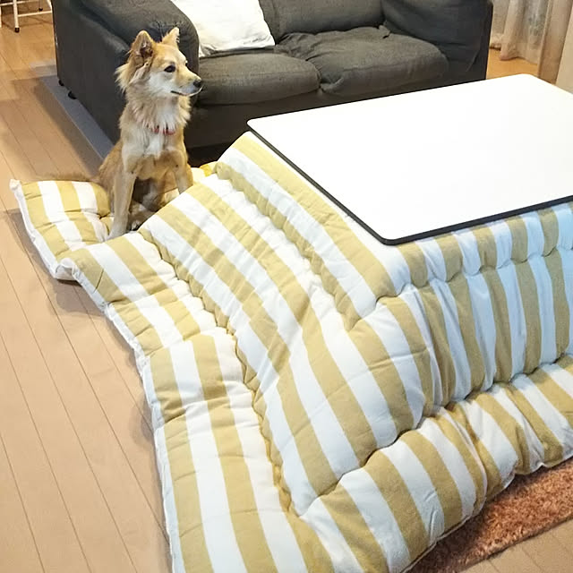 kaoriさんの実例写真