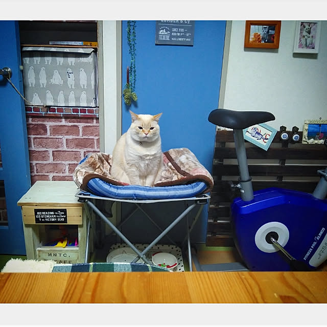 mntcさんの実例写真