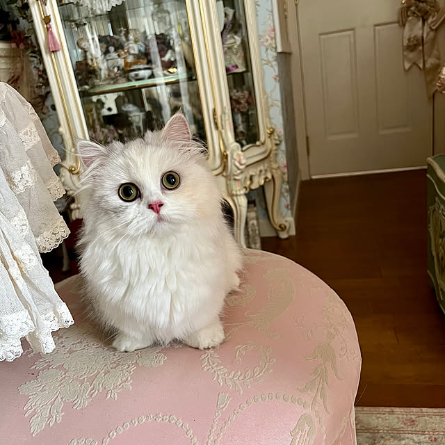 AYUKOさんの部屋