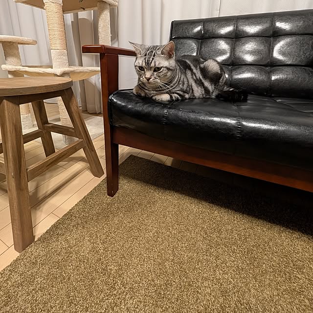 lovepeaceさんの部屋