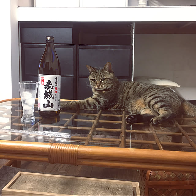 KINGさんの実例写真