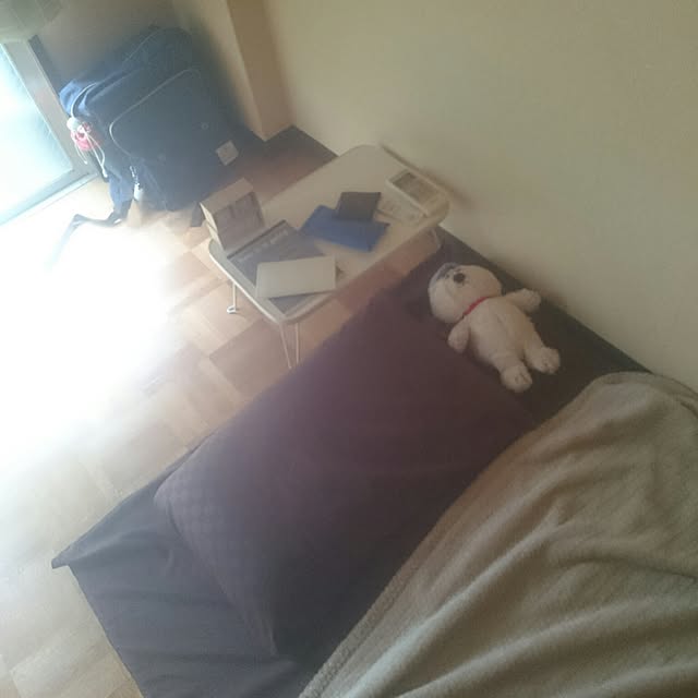 Imanpaさんの実例写真