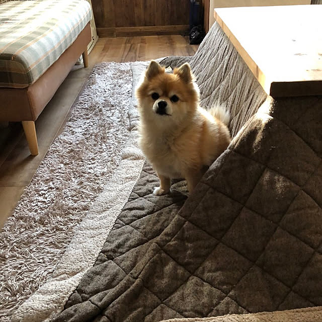 akkyさんの実例写真