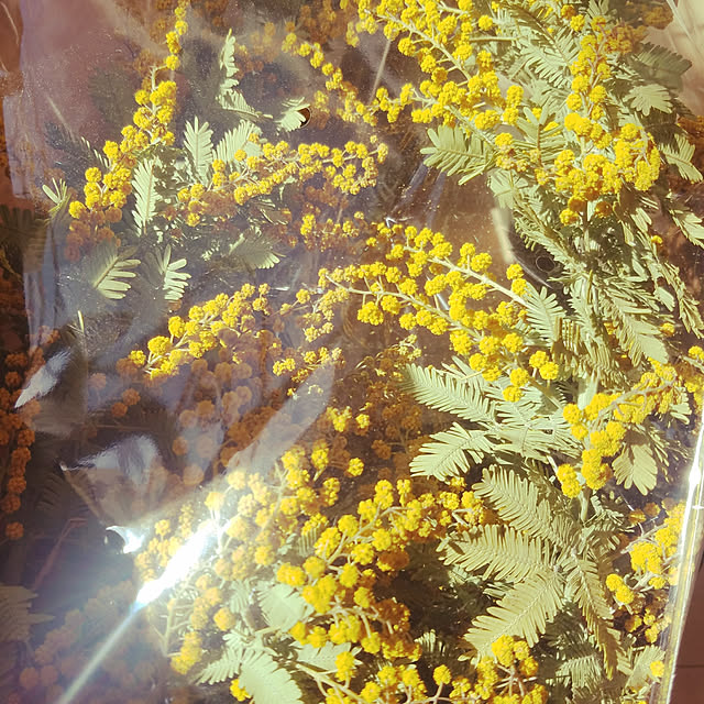 ksyf-naturalさんの実例写真