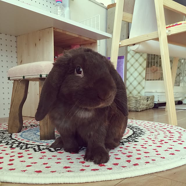 yayonさんの実例写真