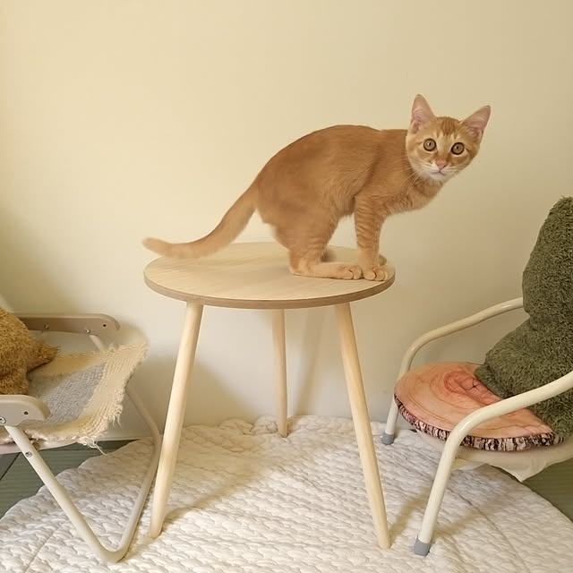 mayutan.さんの部屋